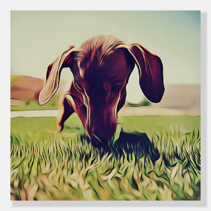Dachshund Dog Playing With A Tennis Ball Birthday  Foam Board