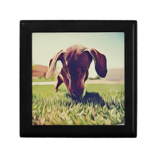 Dachshund Dog Playing With A Tennis Ball Birthday Gift Box