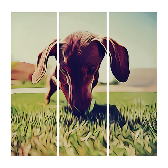 Dachshund Dog Playing With A Tennis Ball Birthday  Triptych (Front)