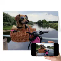 Dachshund 2025 bike basket