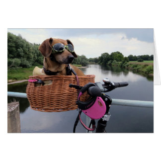 Dachshund Dog Riding in Bike Basket Funny Cards