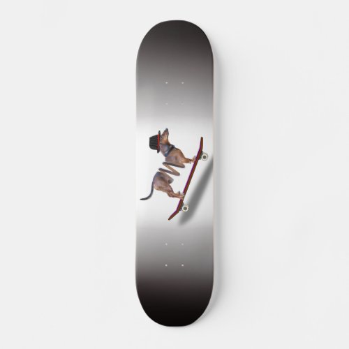 Dachshund Dog Skateboarder Skateboard