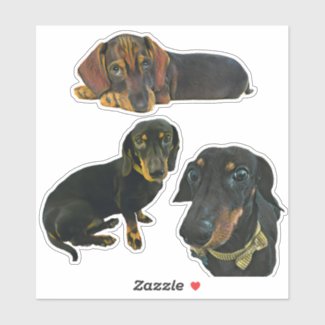 Dachshund Dog Stickers