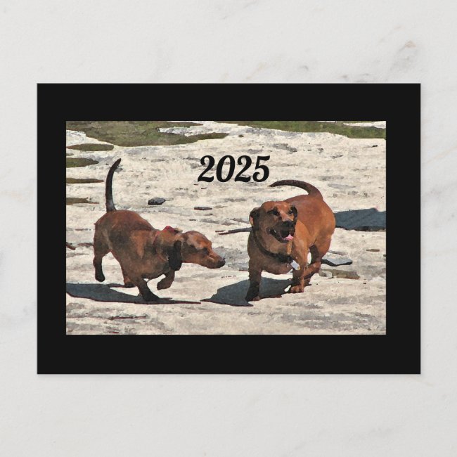 Dachshund Dogs 2025 Calendar on Back Postcard