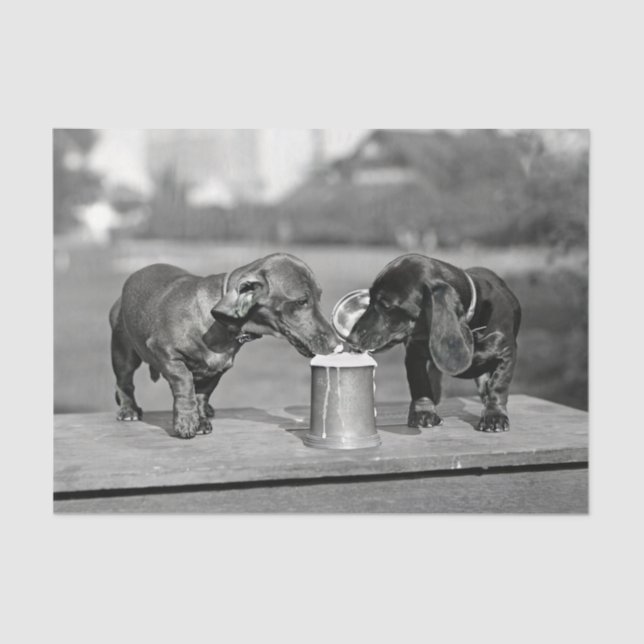 Dachshund Dogs Drinking Beer Tissue Paper (Front)