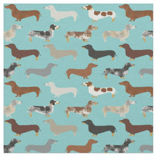 Dachshund dogs light blue fabric