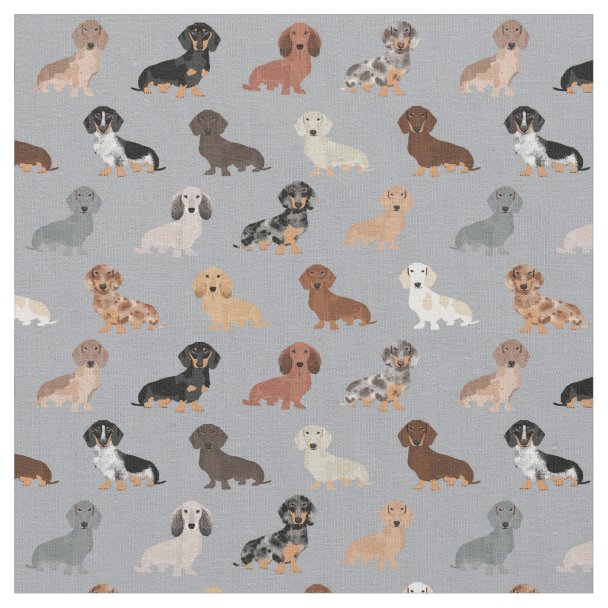 Dachshund dogs fabric | Zazzle.com