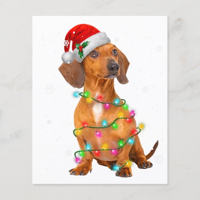 Dachshund Dogs Tree Christmas Sweater Xmas Gifts P Flyer (Front)
