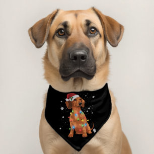 Dachshund Dogs Tree Christmas Xmas Pet Dog Pet Bandana Collar