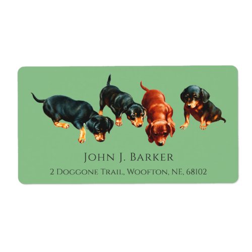 Dachshund Doxie Sausage Dog Wiener Puppies Sage Label