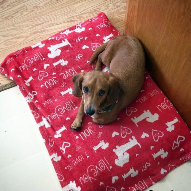 Dachshund Doxie Valentine's Day Hearts Blanket (Dachshund & heart doodles plush minky blanket)