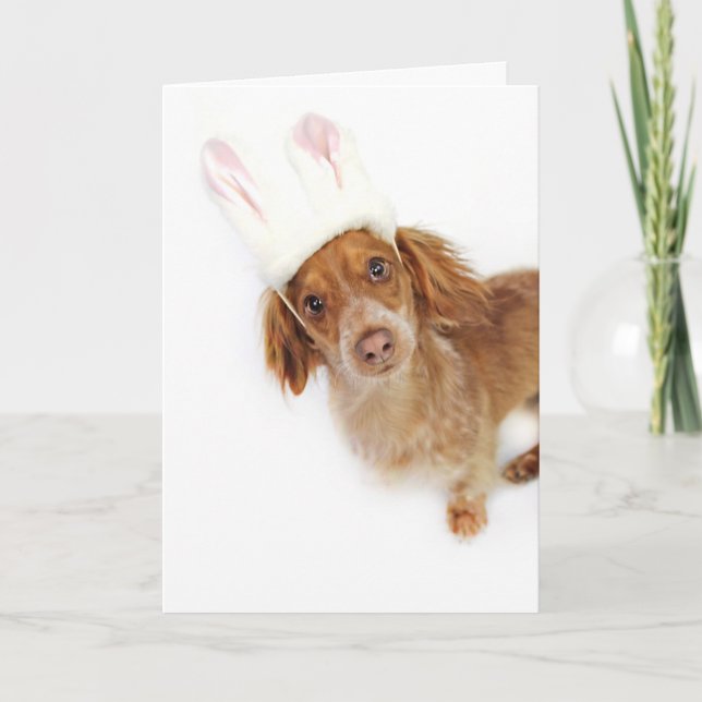 Dachshund Easter Holiday Card (Front)