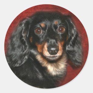 Dachshund face classic round sticker