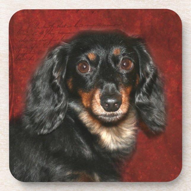 Dachshund face drink coaster (Front)