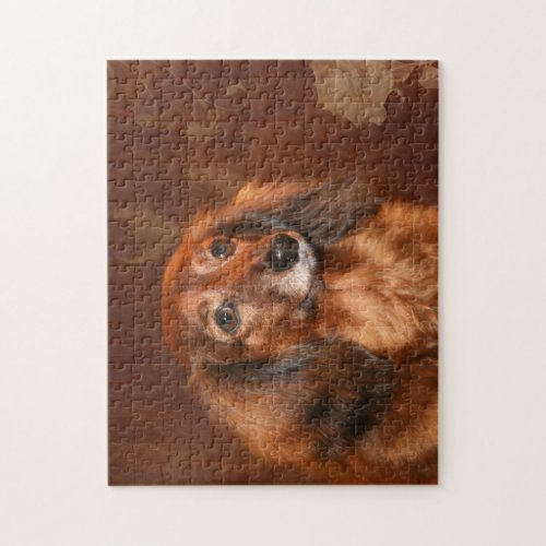 Dachshund face jigsaw puzzle