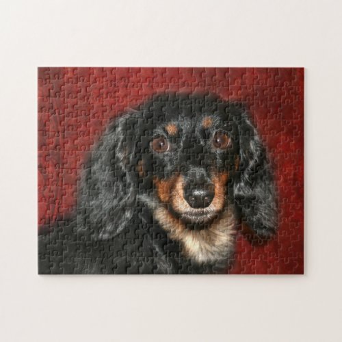 Dachshund face jigsaw puzzle