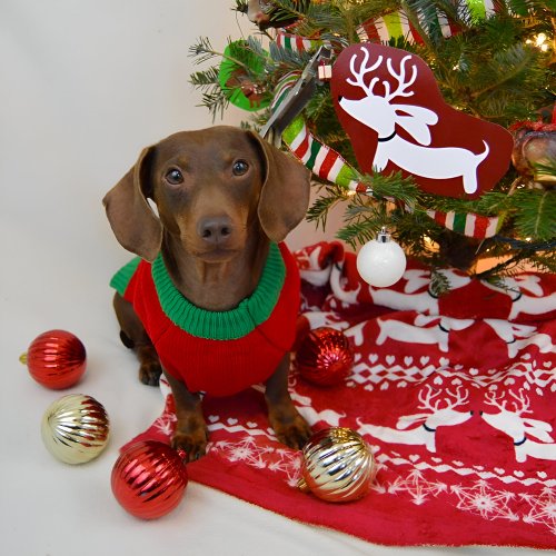 Dachshund Fair Isle Ugly Christmas Sweater Blanket