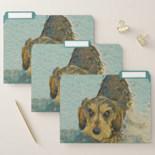 Dachshund FIle Folders