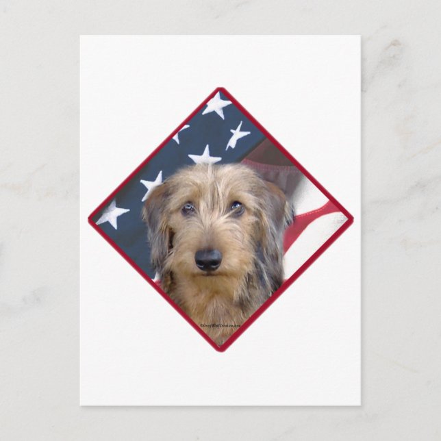 Dachshund Flag 2 Postcard (Front)