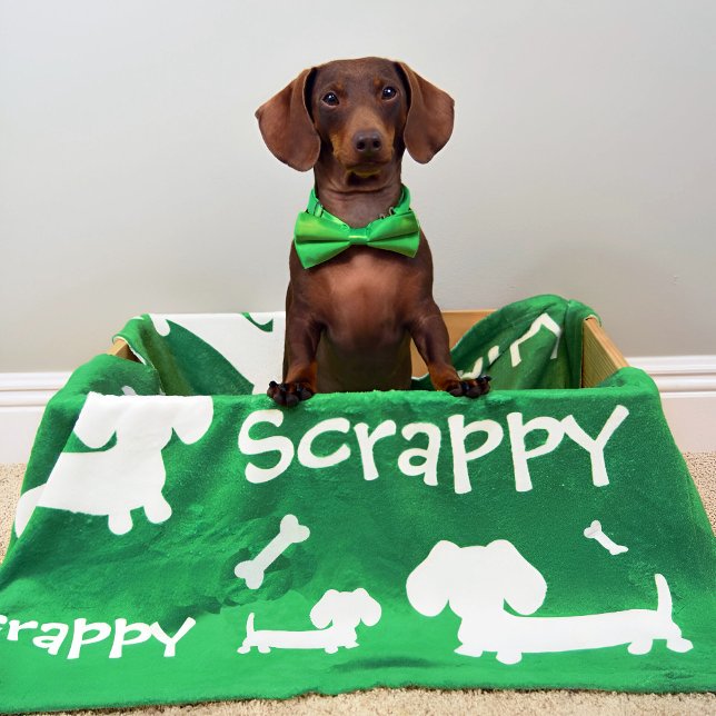 Dachshund Fleece Blanket Green Personalized  (Personalized dachshund blanket)