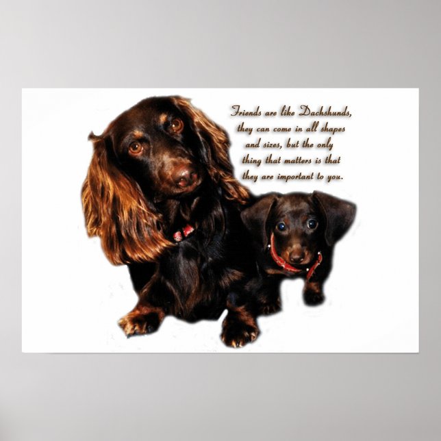 Dachshund Friendship Poster (Front)