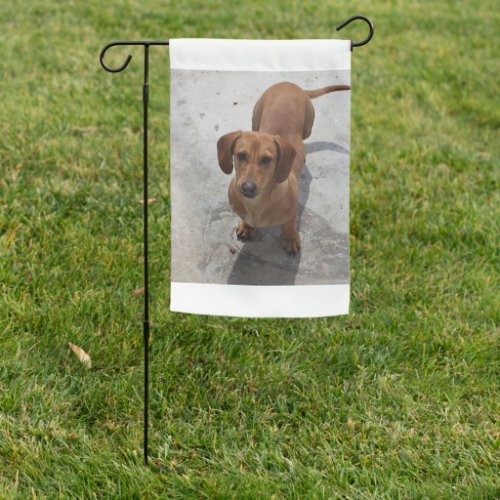 dachshund full garden flag