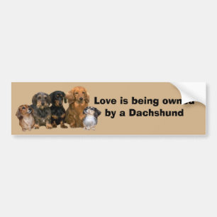 Dachshund Gang Bumper Sticker