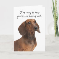 Dachshund Get Well Card