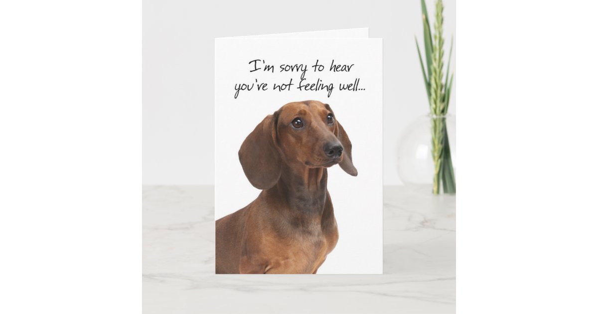 Dachshund Dog Themed Blank Cards By Tracks Cards.