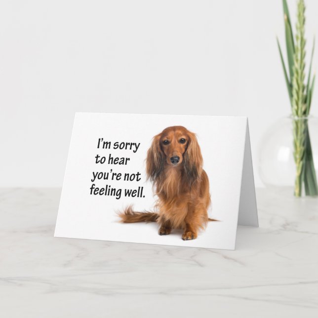 Dachshund Get Well Card (Front)