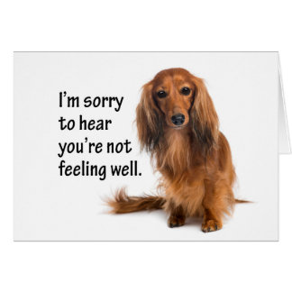 Dachshund Get Well Cards | Zazzle