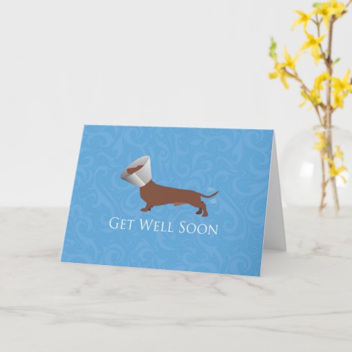 Dachshund - Get Well Soon Card | Zazzle