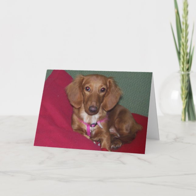 Dachshund, Get Well Soon Card (Front)
