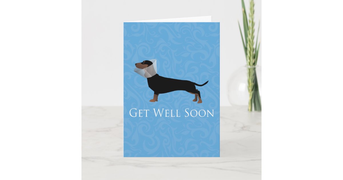 Dachshund Get Well Soon Design Card | Zazzle