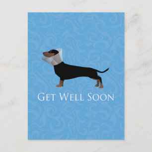 Dachshund Get Well Soon Design Postcard