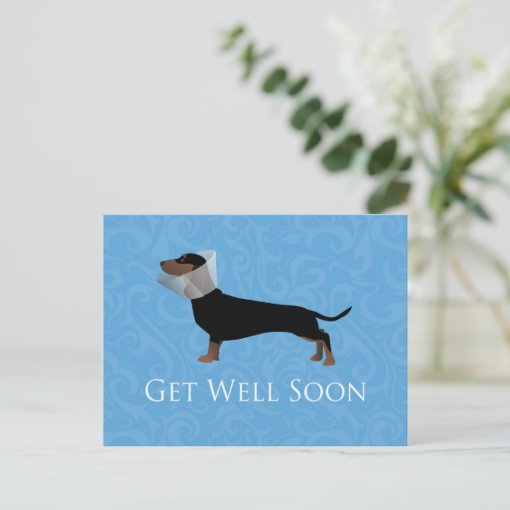 Dachshund Get Well Soon Design Postcard | Zazzle