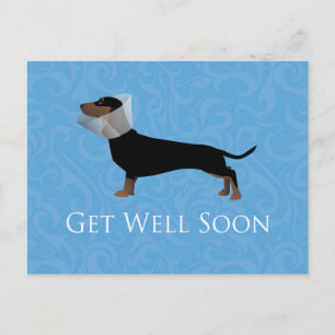 Dachshund Get Well Soon Design Postcard