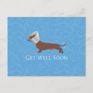 Dachshund - Get Well Soon Postcard