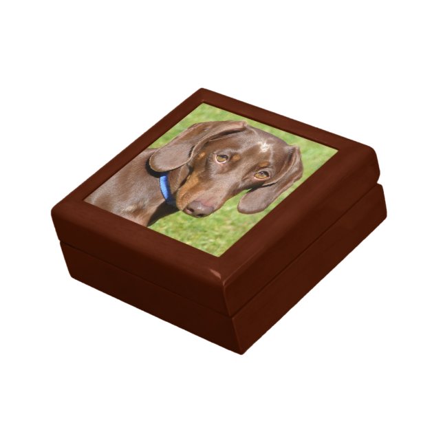 Dachshund Gift Box (Side)