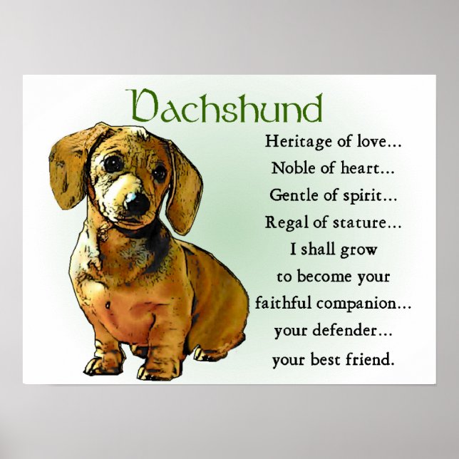 Dachshund Gifts Dachshund Posters Prints (Front)