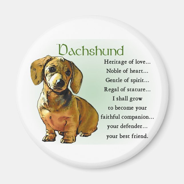 Dachshund Gifts Magnet