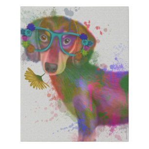 Dachshund & Glasses Rainbow Splash Faux Canvas Print