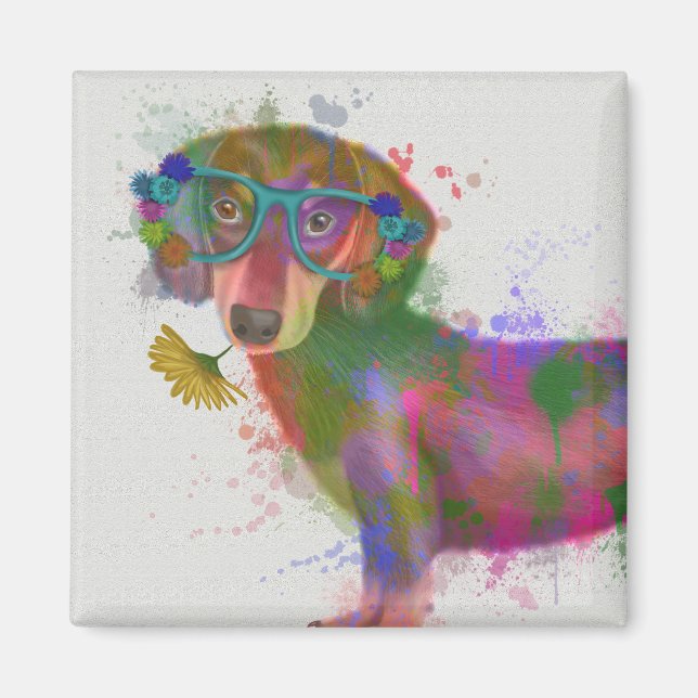 Dachshund & Glasses Rainbow Splash Magnet (Front)