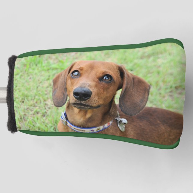 Dachshund Golf Head Cover (Front)