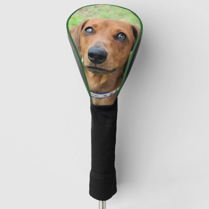 Dachshund Golf Head Cover | Zazzle.com