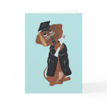 Dachshund Graduate