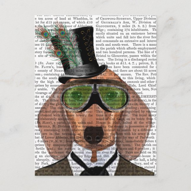 Dachshund Green Goggles Top Hat Postcard (Front)