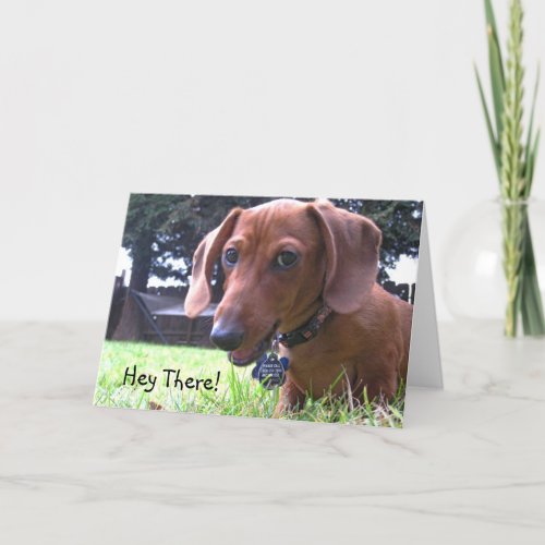 Dachshund Greetings Card