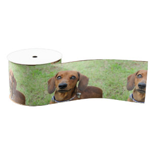 Dachshund Grosgrain Ribbon