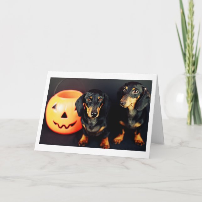 Dachshund Halloween Card (Front)
